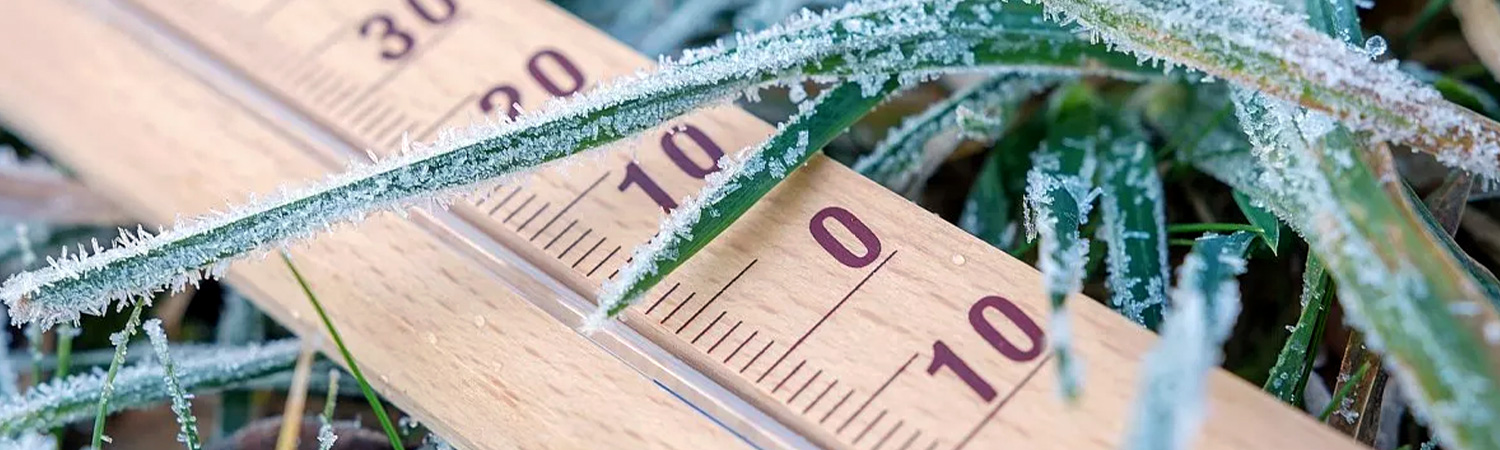 Témoignage : le plan Grand Froid vécu par les écoutants 115