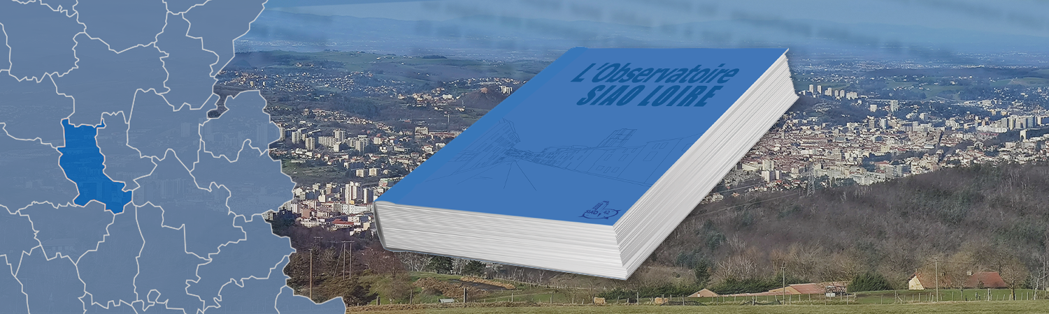 Analyse du questionnaire « Santé Mentale » au sein des structures AHIL (Mai 2021)