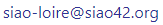 Icone contact email SIAO Loire 42