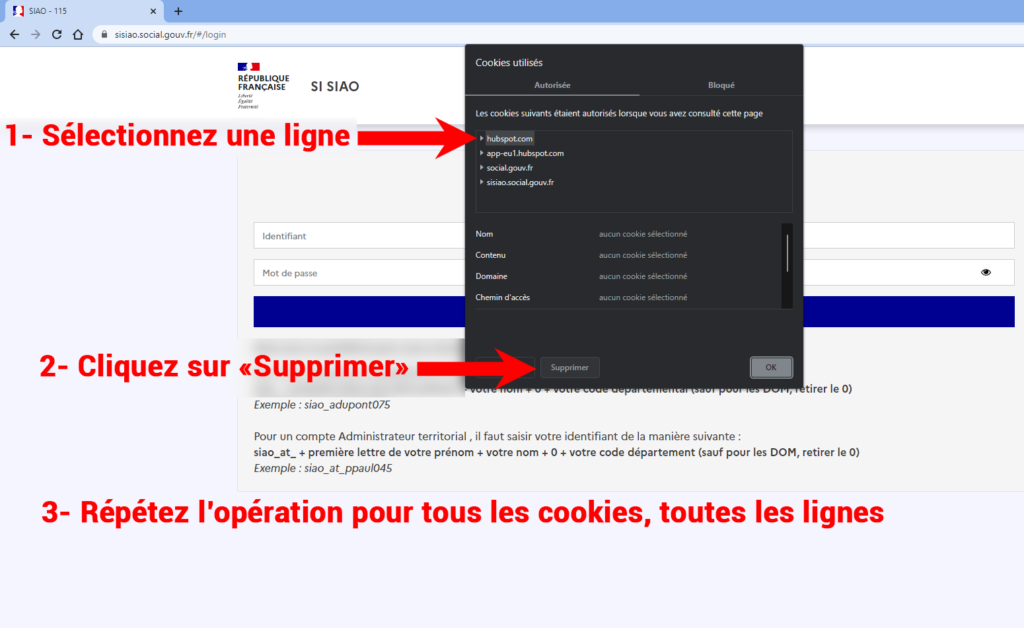 Tuto SI SIAO - Nettoyer les cookies d'un navigateur (Etape 3)