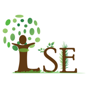 Logo Loire Service Environnement